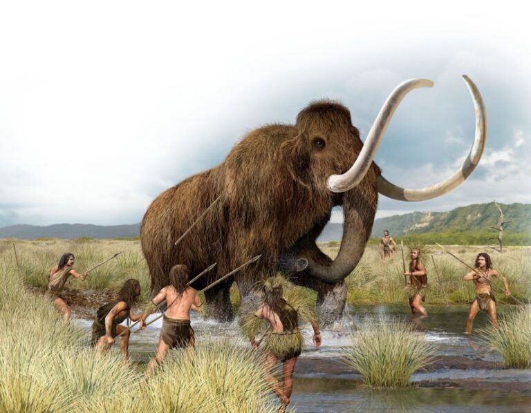 Elephant vs Mammoth All Differences Explained Animallot