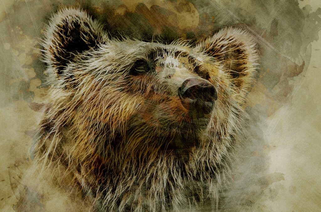 grizzly, bear, kodiak-1640452.jpg