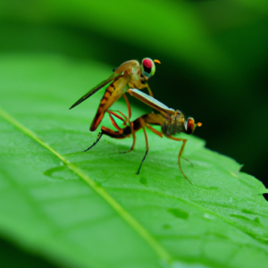 Animals That Reproduce Asexually - Animallot